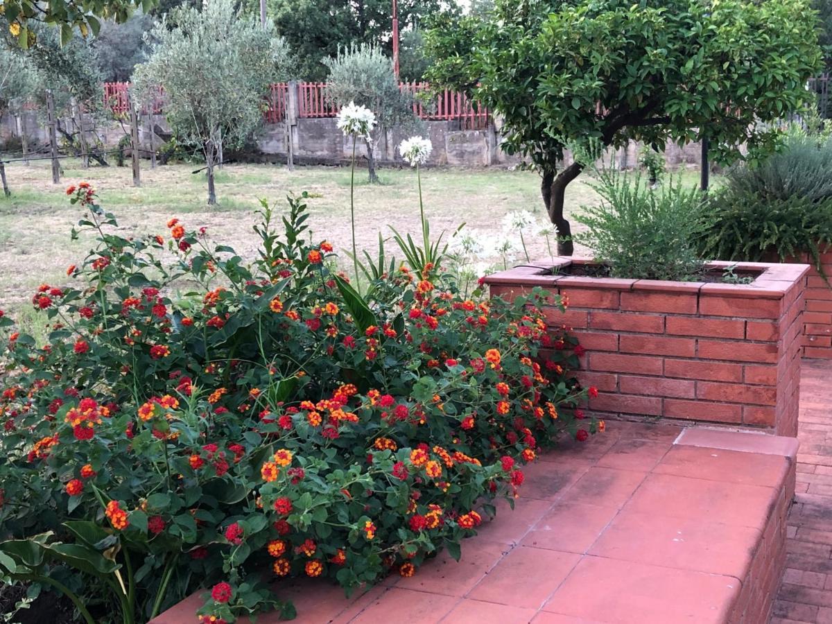 Villa Carolea Acireale Zewnętrze zdjęcie