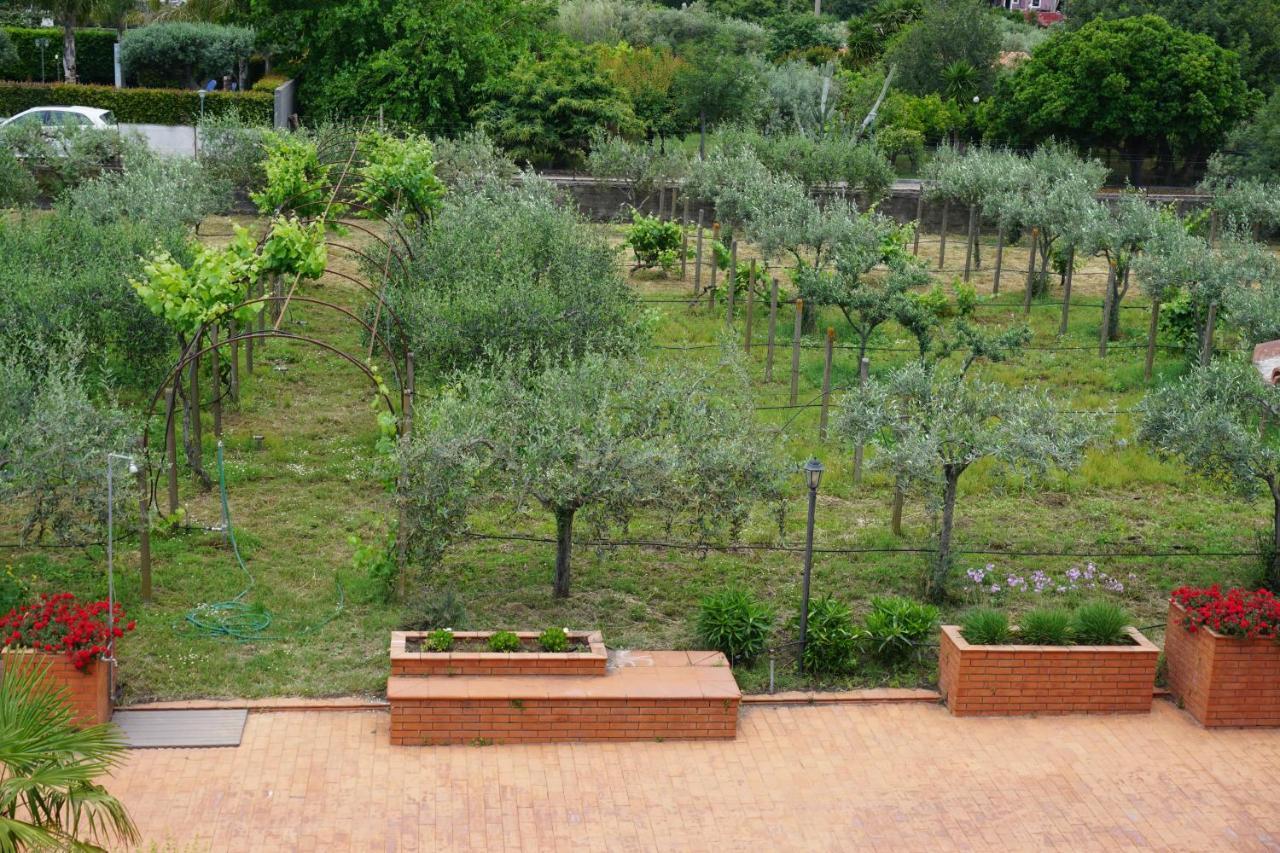 Villa Carolea Acireale Zewnętrze zdjęcie